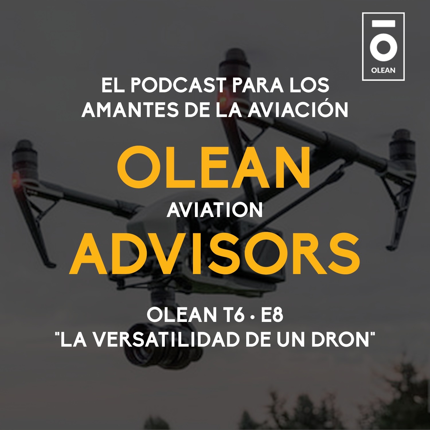 T6 · E8 - La versatilidad de un dron episode artwork