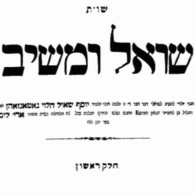 R. Yosef Shaul Natansohn, the Shoel UMeshiv