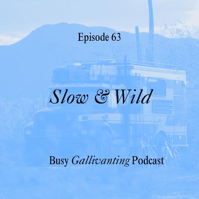 Slow & Wild: Van Life, RV Living, and Choosing More Intentional Travel
