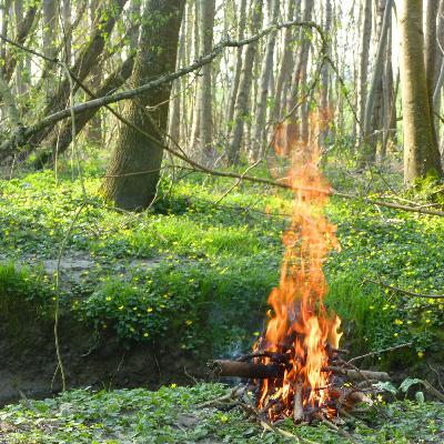 l'Harmonie des Ronciers - au départ de tout ce qui arrive l'Harmonie des Ronciers - au départ de tout ce qui arrive