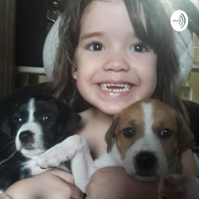 Arca de Noé para turma de Creche