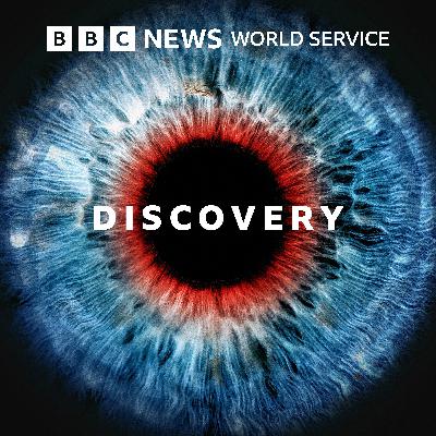 The Life Scientific: Sir Magdi Yacoub - Discovery