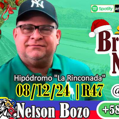 Nelson Bozo "El triple coronado del Zulia" | #LaRinconada 08/12/24 | R47 | #adelantados 🏇🏅🏆