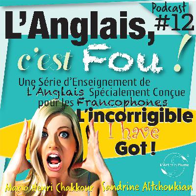 #12: L'incorrigible « I have got » !