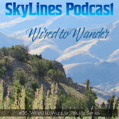 #36 Introduction to "Wired to Wander" #36 Introduction to "Wired to Wander"