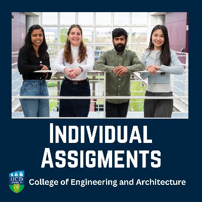 6. Individual Assignments