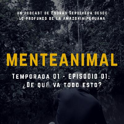 Temporada 01 - Ep 01 : ¿De qué va todo esto?