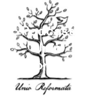 Podcast Unio Reformata 4 NL: De Schrift een schat - Ds. Edwin Delen Podcast Unio Reformata 4 NL: De Schrift een schat - Ds. Edwin Delen