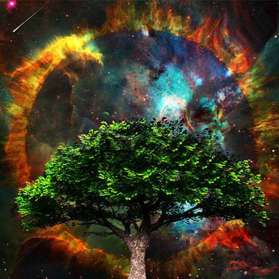 Eat First...From The Tree Of Life