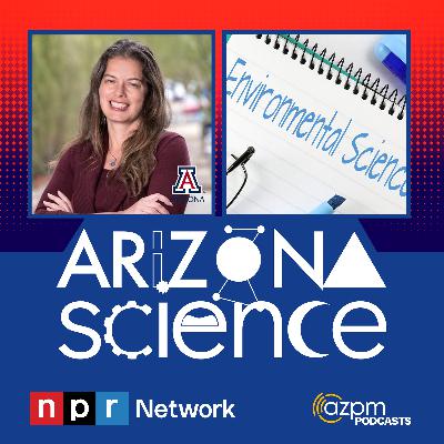Coping with federal funding cutbacks for research grants