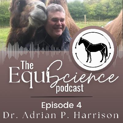#4 - I fixed my horse using a single bell boot - the science of proprioception and equine biomechanics w/ Dr Adrian Harrison