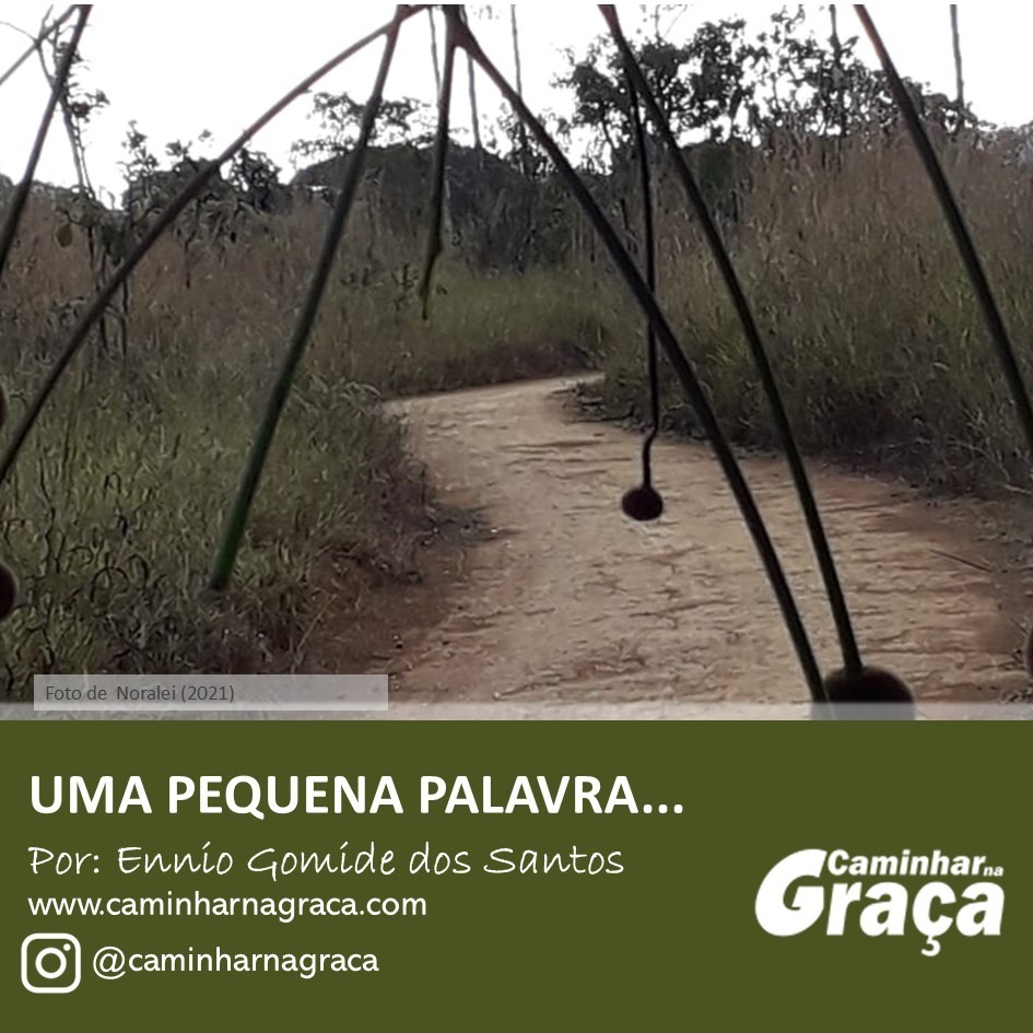 Vida coerente com a graça Vida coerente com a graça