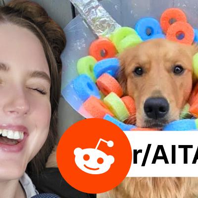 Didn’t Pay Sister’s Rent for Dog Surgery? AITA Reddit Stories