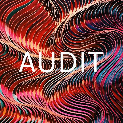 Audit 2