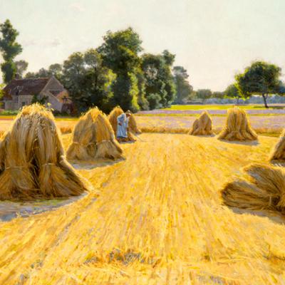 Sermon25: 03Aug25 'From fear to freedom', by Rev. Dr. Elaine Neuenfeldt
