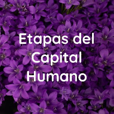 Introducción
