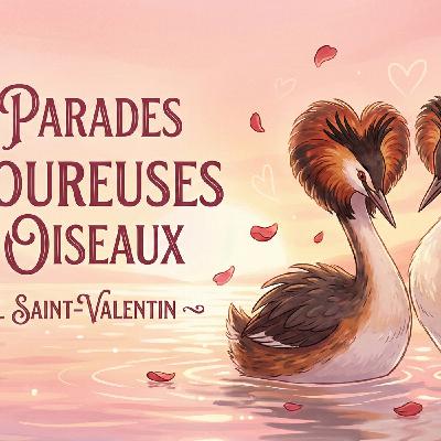 💘 L'Opéra Sauvage : Les plus beaux chants d'amour