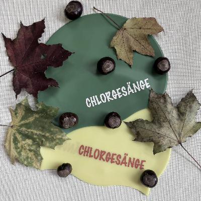 Folge 136: Auf heissen Kohlen Folge 136: Auf heissen Kohlen