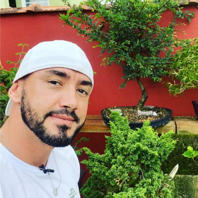Ansiedade na Arte do Bonsai