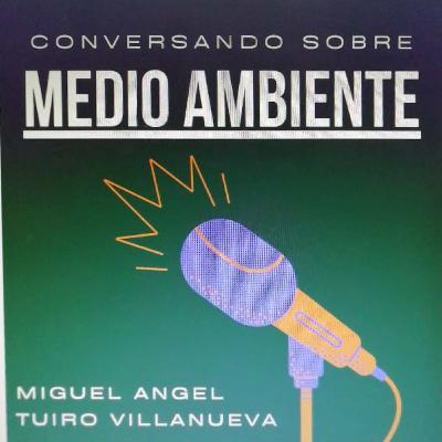 Kampen mot nazismen – 13: “Norge är åter fritt!”