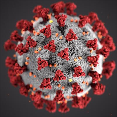 Coronavirus Coronavirus