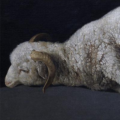 [Évangile du dimanche] Voici l'agneau de Dieu (Jn 1, 29-34)