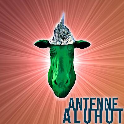 Überraschend schlecht informiert: Antenne Aluhut Origins