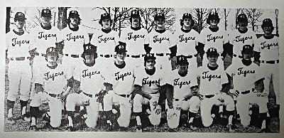 Chapter 35: I Make the Team