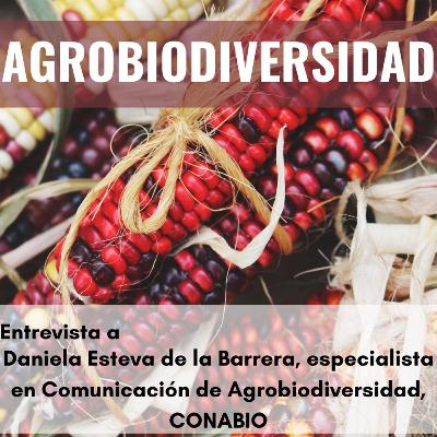 Agrobiodiversidad