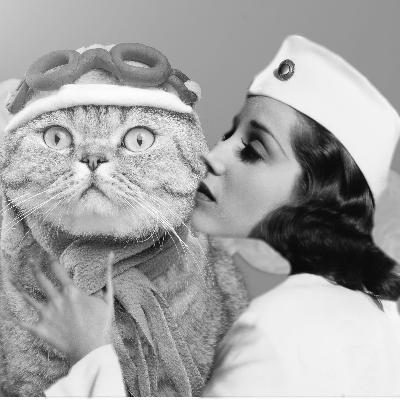 Comedy podcast. Life with Bucky. Flight attendant marries her Cat. Comedy podcast. Life with Bucky. Flight attendant marries her Cat.