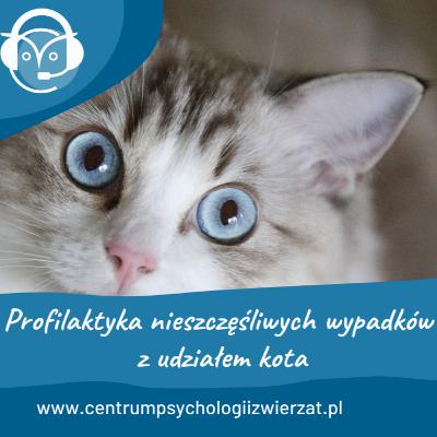 Profilaktyka nieszczęśliwych wypadków z udziałem kota Profilaktyka nieszczęśliwych wypadków z udziałem kota