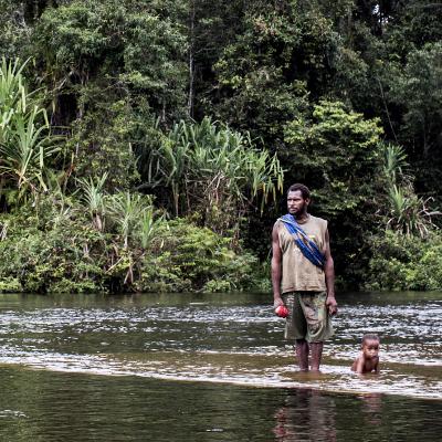 New Guinea, Part 6:  Who is destroying these rainforests? The Tanah Merah mystery.