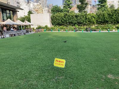 2150◆どうすれば僕らは褒める/褒められるのか~コーチングと鬼教官の時代~ 2150◆どうすれば僕らは褒める/褒められるのか~コーチングと鬼教官の時代~