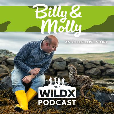 Episode 17 - BILLY & MOLLY - An Otter Love Story