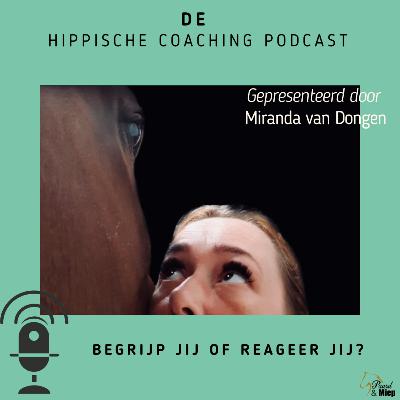 Begrijp jij of reageer jij?