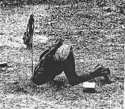 Insane Health Misunderstandings