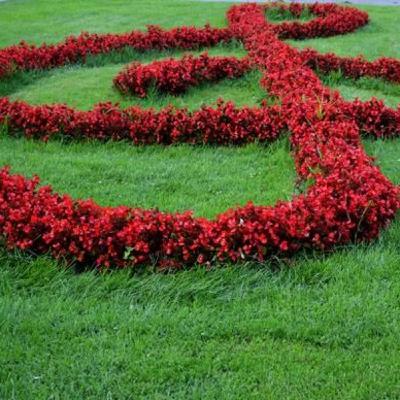 Viena, la ciudad de la música – Las sandalias de Ulises 31 Viena, la ciudad de la música – Las sandalias de Ulises 31