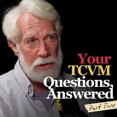 Dear Horse World, It’s Dr. John Langlois: Your TCVM Questions, Answered (Part Two)