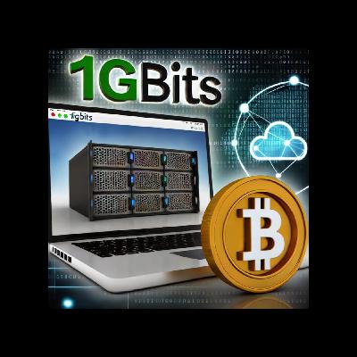 How to Buy a VPS with Bitcoin: Exploring 1Gbits and Crypto Hosting Solutions