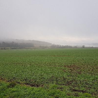 31. Be you in 2022 with Kaz