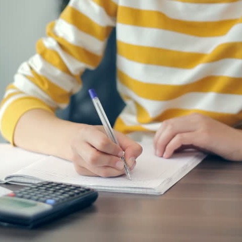 How to become a professional essay writer – 2021