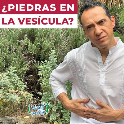 Ajenjo para limpiar tu vesícula