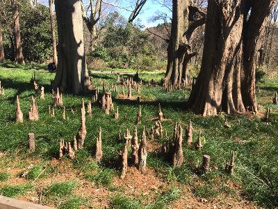 寸劇「おばちゃんの井戸端会議」 from Radiotalk 寸劇「おばちゃんの井戸端会議」 from Radiotalk