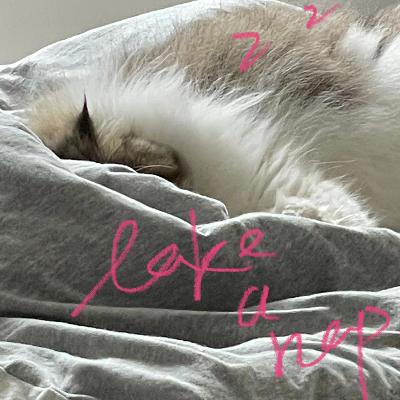 NAPs vol.4 | 现当代安慰他人图鉴