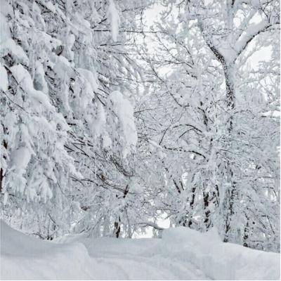 6 ways to work with snow magick❄️ 6 ways to work with snow magick❄️