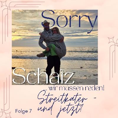 #7 Streitkater – und jetzt?