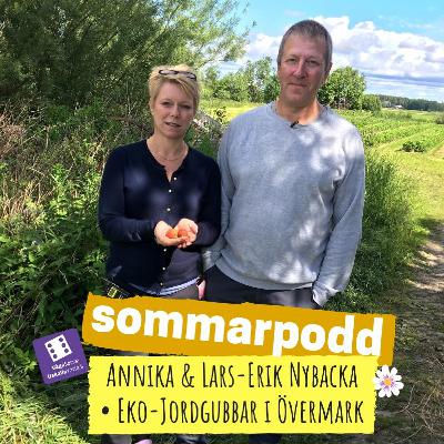 "Vet inte hur många jordgubbsplantor vi har - men många" Annika & Lars-Erik Nybacka