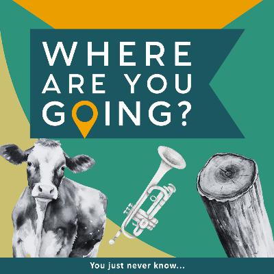 A log, a trumpet and some cows A log, a trumpet and some cows