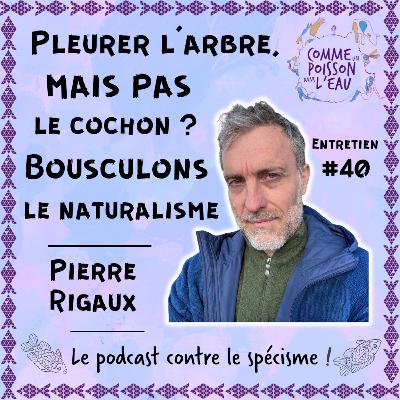 #40 Pleurer l'arbre, mais pas le cochon ? Bousculons le naturalisme - Pierre Rigaux #40 Pleurer l'arbre, mais pas le cochon ? Bousculons le naturalisme - Pierre Rigaux