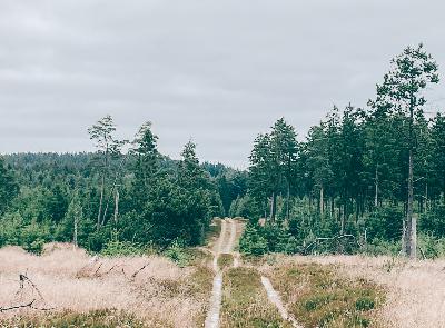 Sæt farten ned og mærk livet
